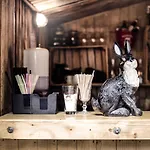 Downtown Forest & Vilnius