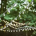 Downtown Forest & Vandrarhem *