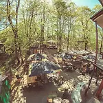 Vandrarhem Downtown Forest &