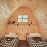 Downtown Forest & * Vilnius