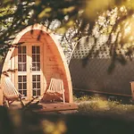 Downtown Forest & Vandrarhem *