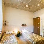 Vandrarhem Downtown Forest & Vilnius