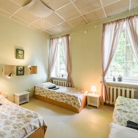 Downtown Forest & אכסניה וילנה