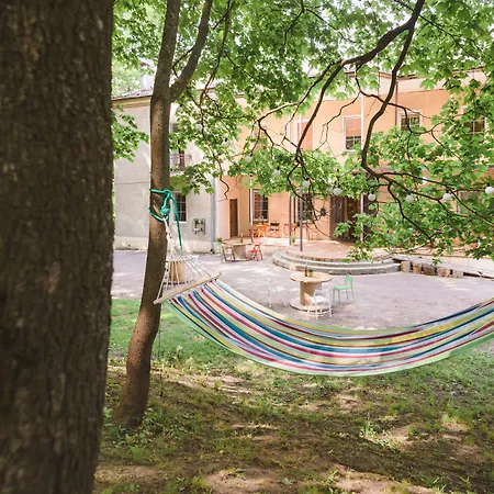 Downtown Forest & Vilnius