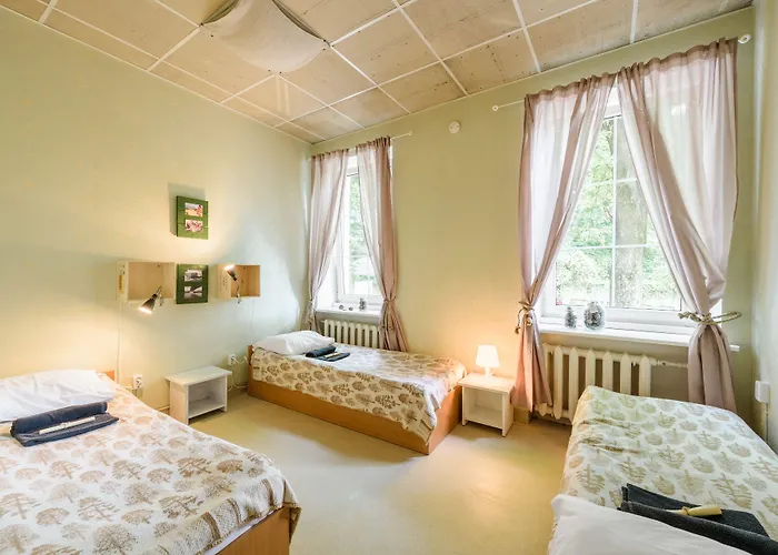 Downtown Forest & Hostel Wilna
