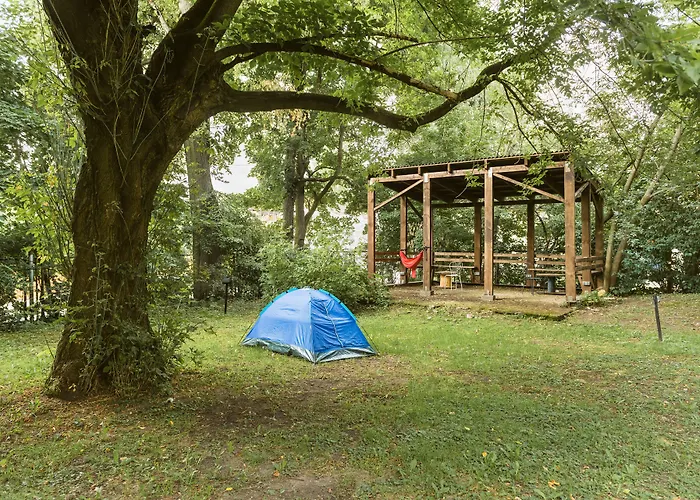 Downtown Forest & * Wilno