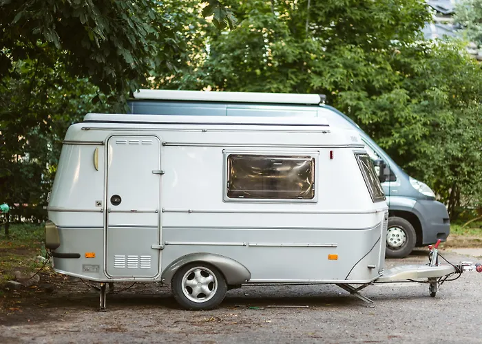 Downtown Forest & Hostel