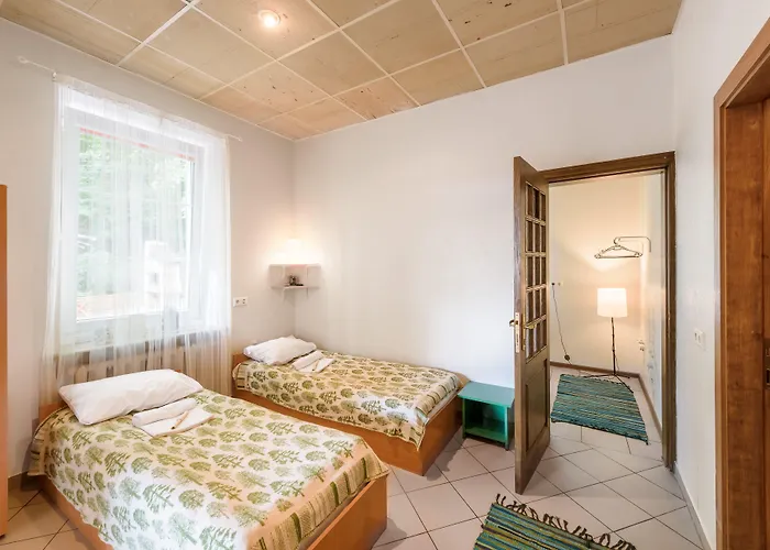 Downtown Forest & Hostel Wilno