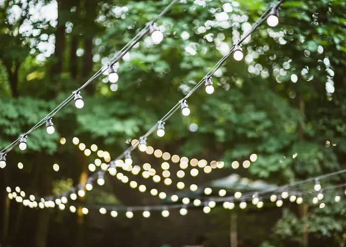 Downtown Forest & Hostel *