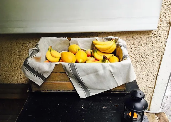 Downtown Forest & Hostel *