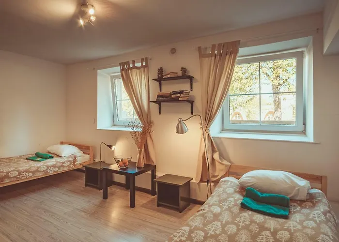 Downtown Forest & Hostel *