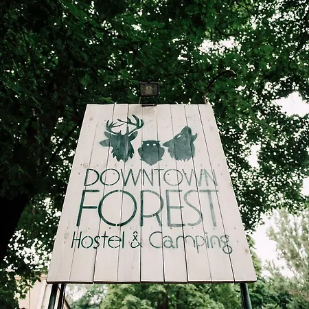 Downtown Forest & * Vilnius