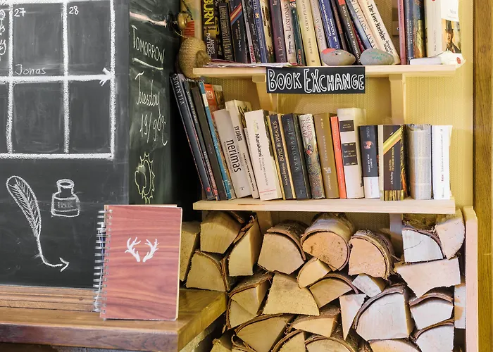 Downtown Forest & Hostel *