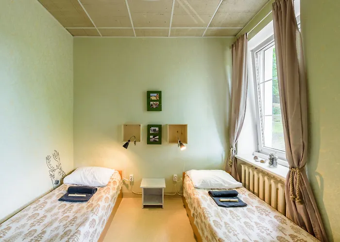 Hostel Downtown Forest &