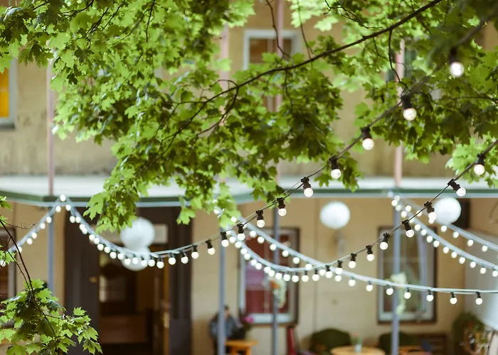 Hostel Downtown Forest &