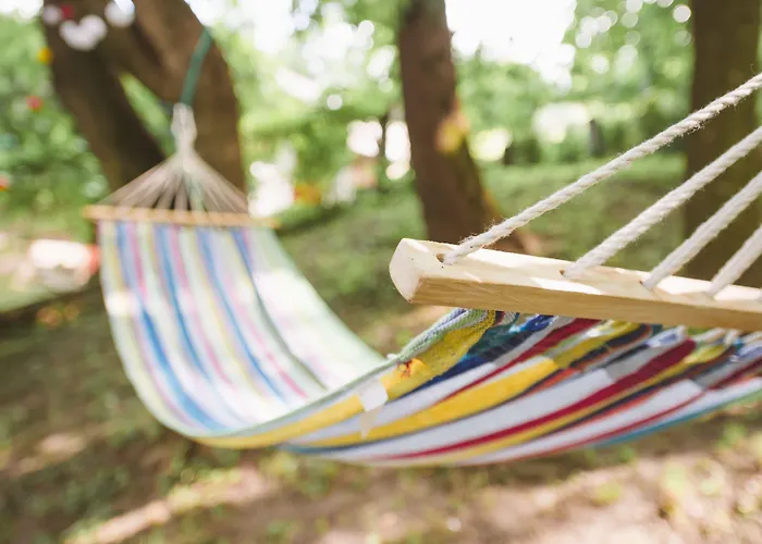 Downtown Forest & Hostel