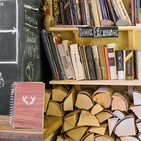 Downtown Forest & Хостел *