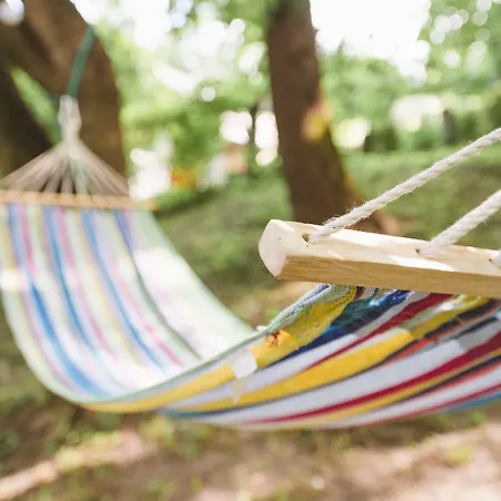 Downtown Forest & Хостел