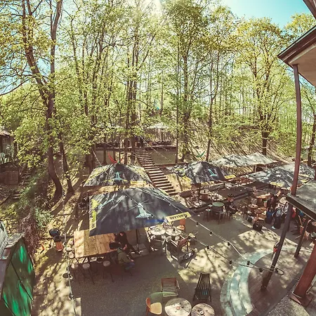 Хостел Downtown Forest &