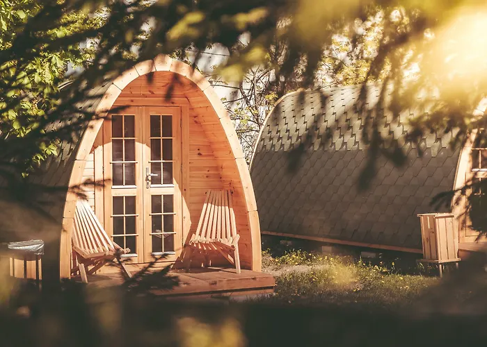 Downtown Forest & Vandrarhem *